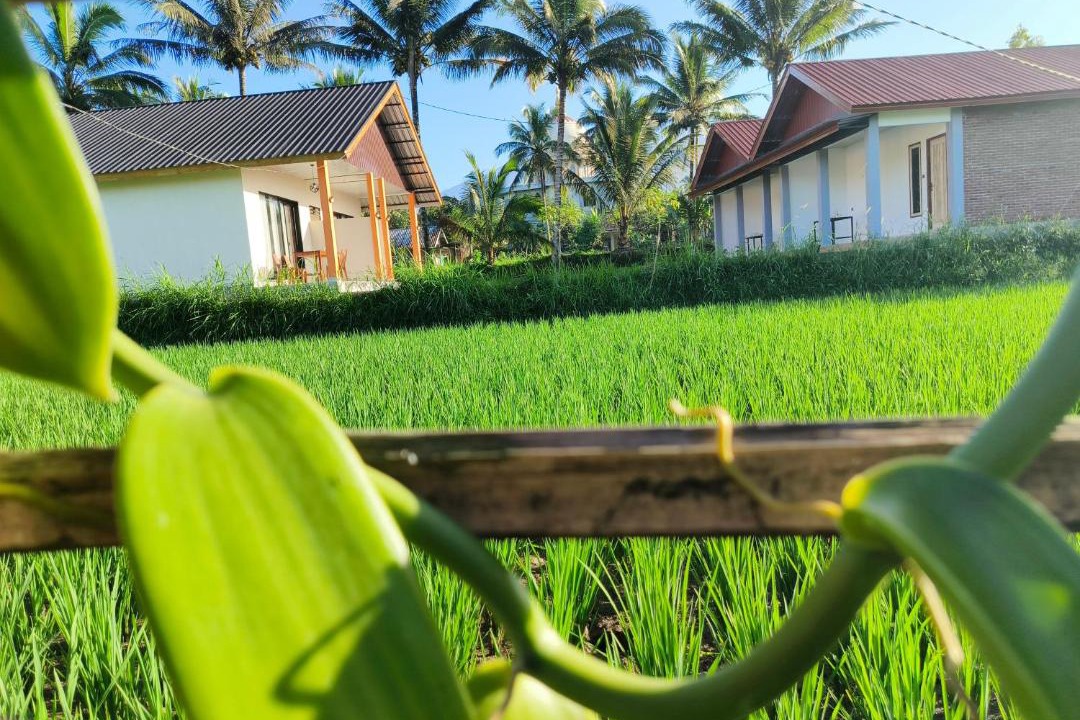 Photo of Others in Tetebatu