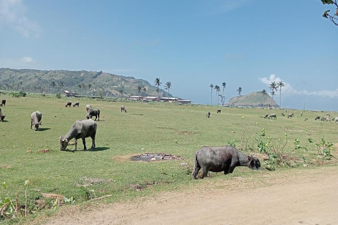 Photo of Others in Kuta