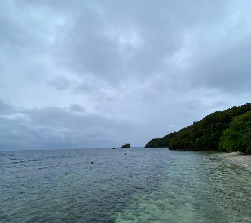 Photo of Others in Pianemo Islands