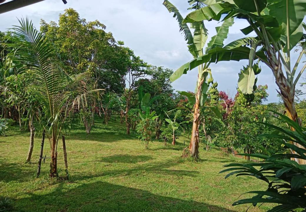 Photo of Others in Tanjung Setia