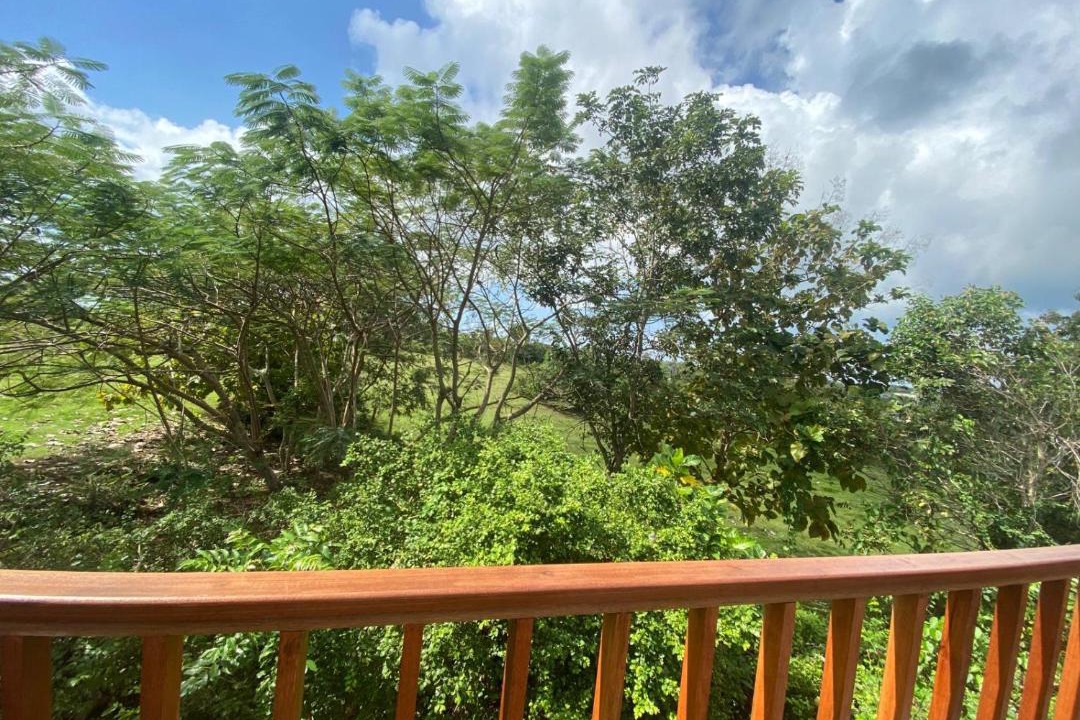 Photo of Others in Bukit