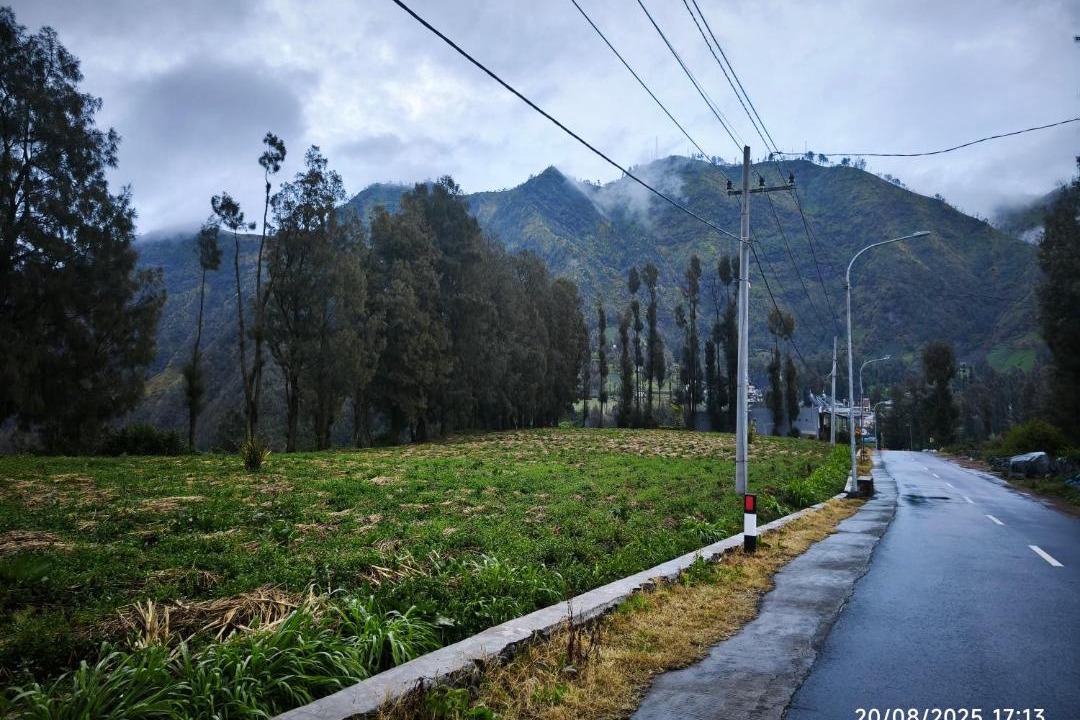 Photo of Others in Ngadisari