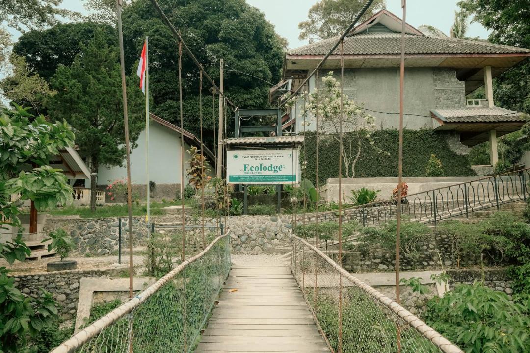 Photo of Others in Bukit Lawang