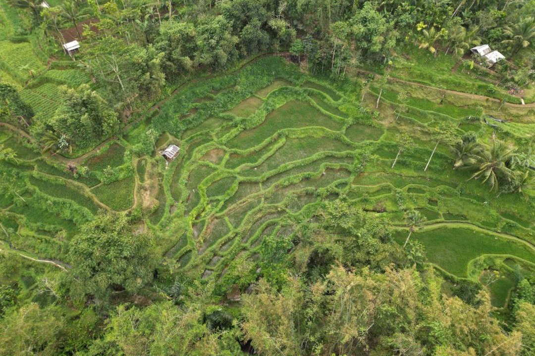 Photo of Others in Tetebatu
