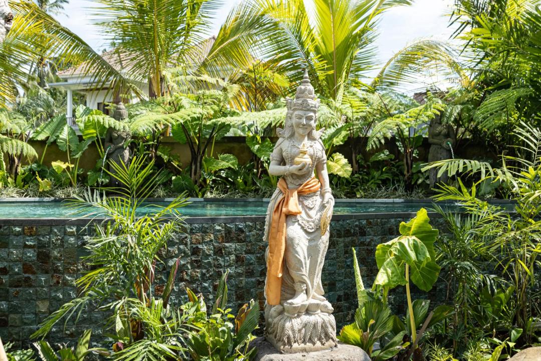 Photo of Others in Ubud