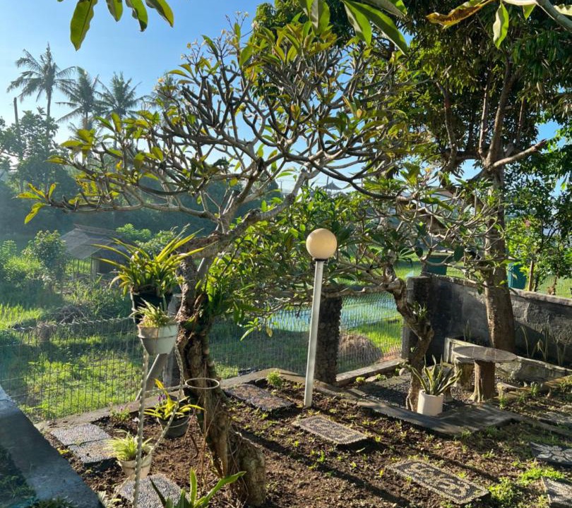 Photo of Others in Saba