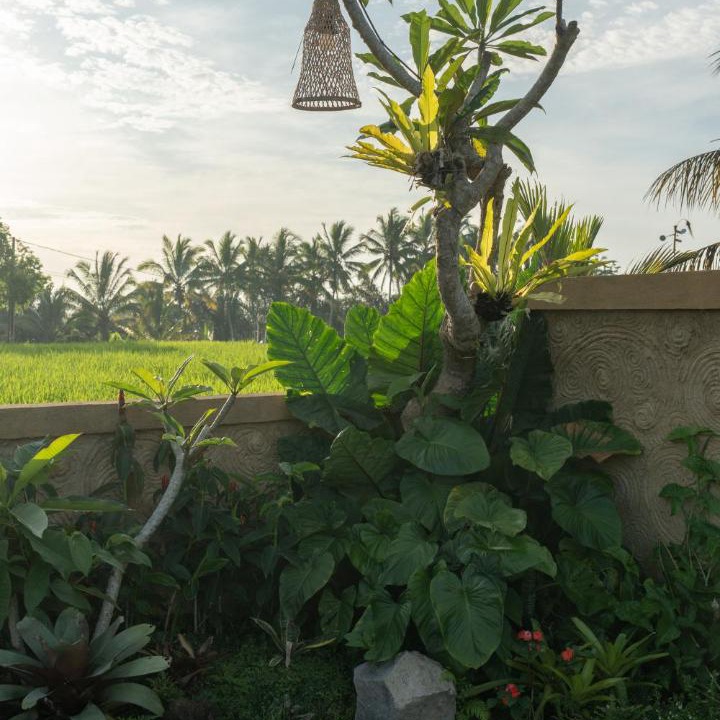 Photo of Others in Sebatu