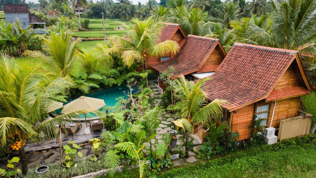 Photo of Others in Ubud