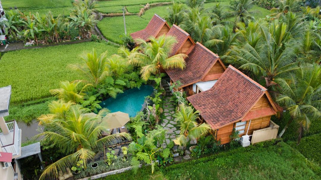 Photo of Others in Ubud