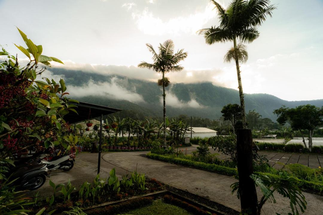 Photo of Others in Candikuning