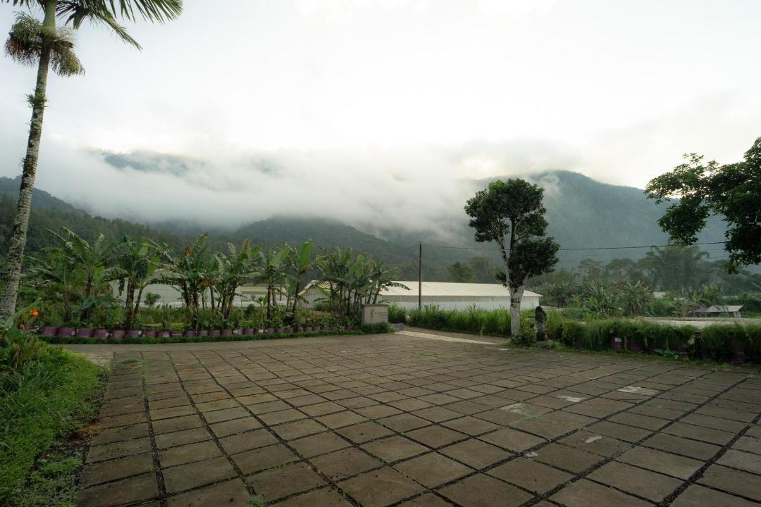 Photo of Others in Candikuning