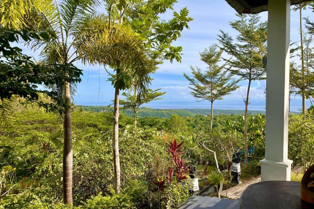 Photo of Others in Penida Island