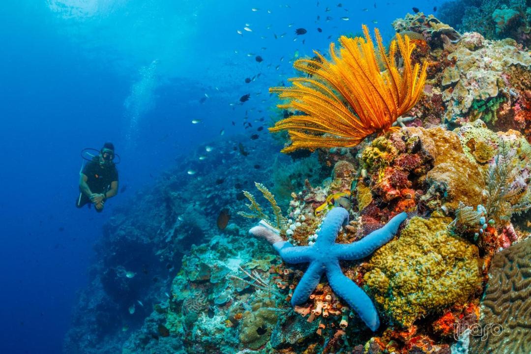 Photo of Others in Manado