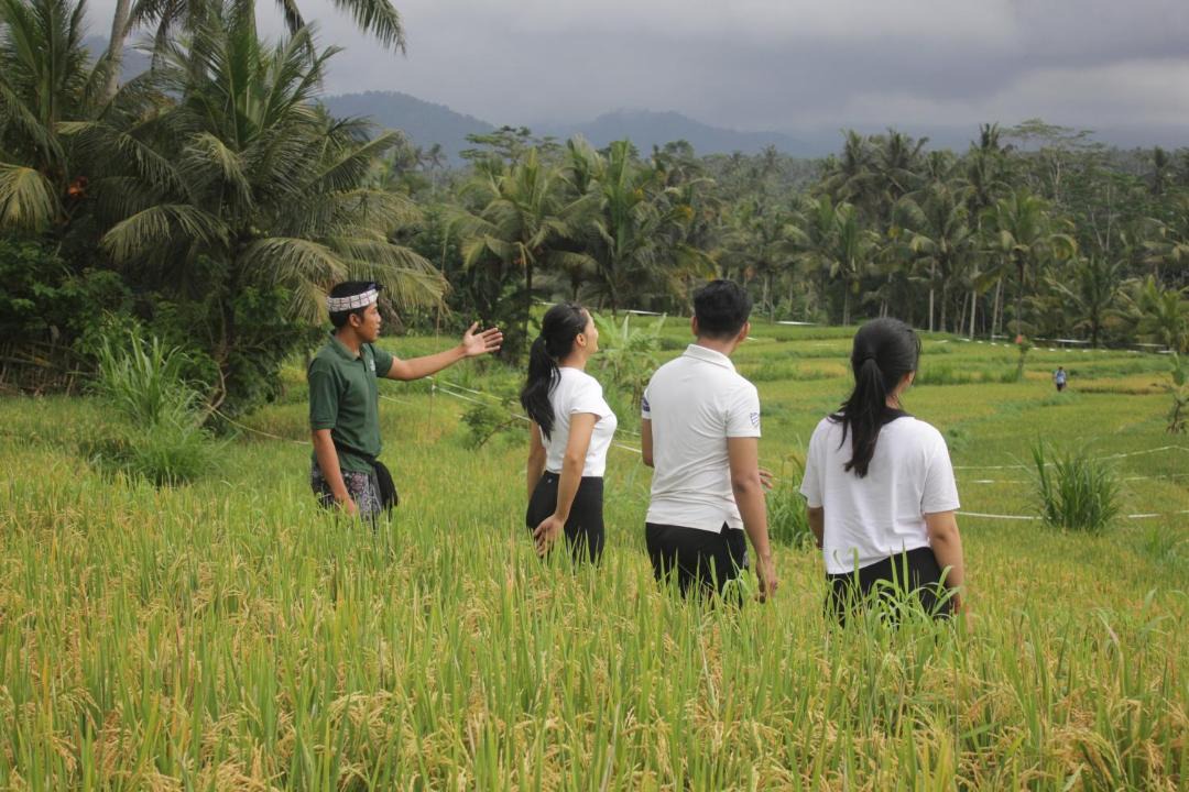 Photo of Others in Bebandem