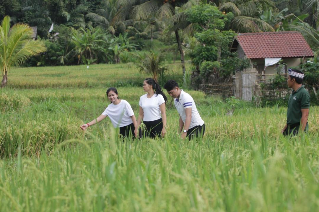 Photo of Others in Bebandem