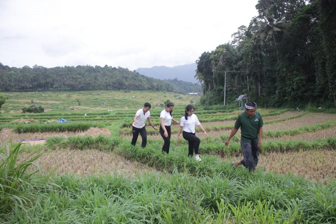 Photo of Others in Bebandem