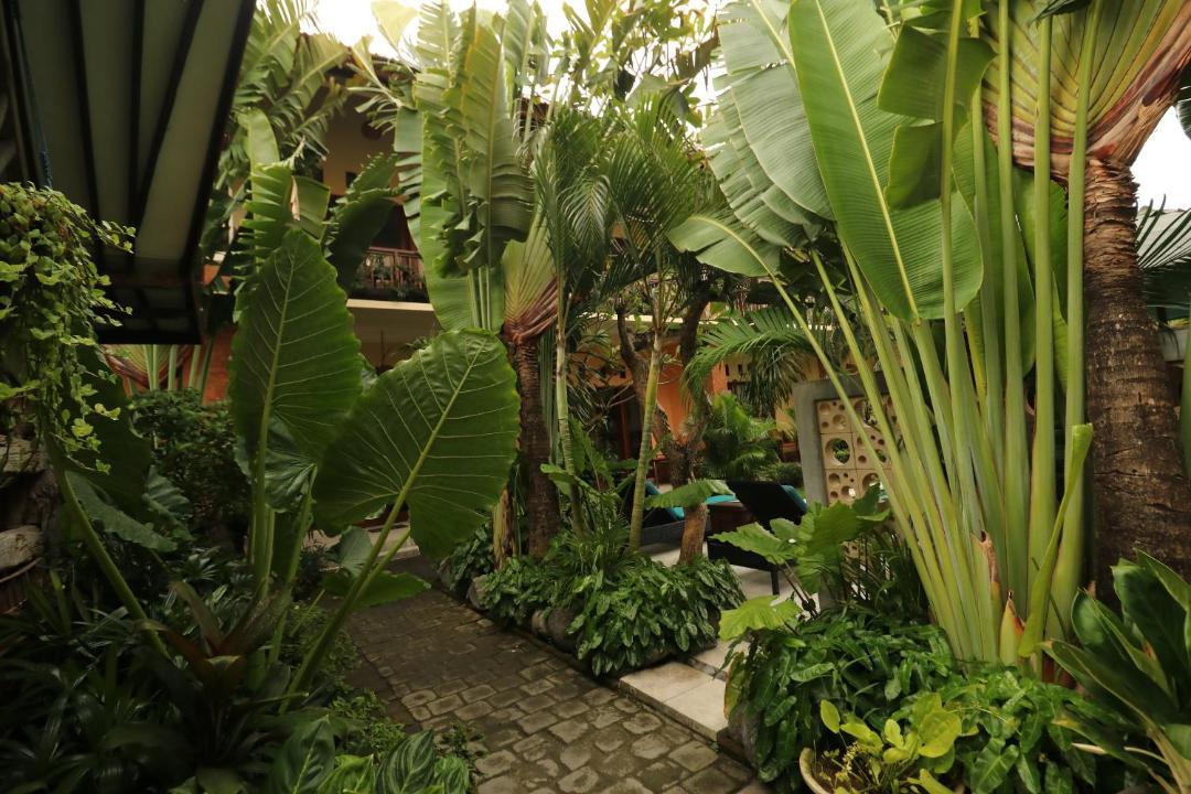 Photo of Others in Legian City-Centre