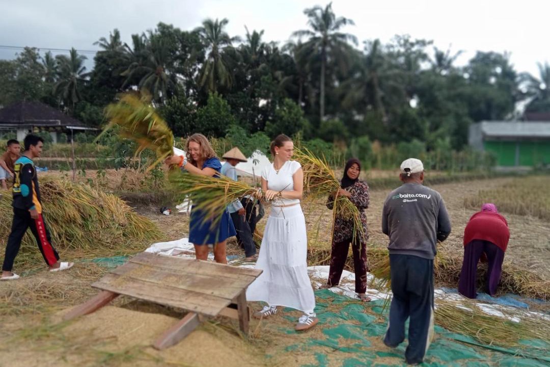 Photo of Others in Kotaraja