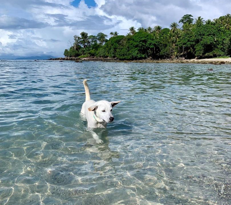 Photo of Others in Sabang