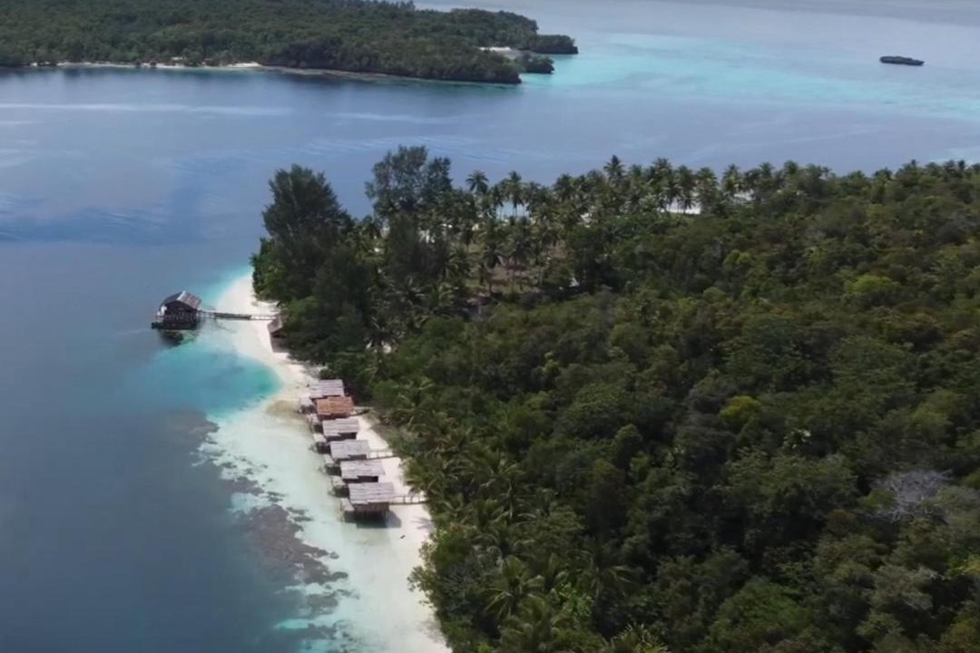 Photo of Others in Raja Ampat