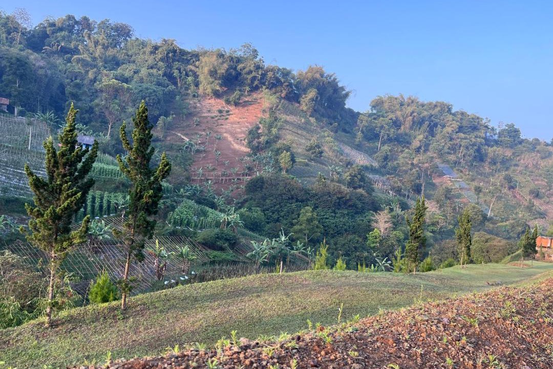 Photo of Others in Ngamprah