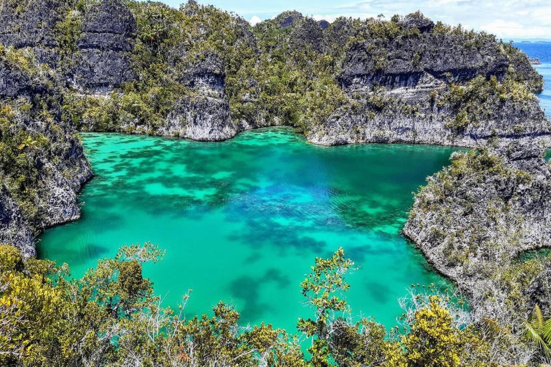 Photo of Others in Raja Ampat