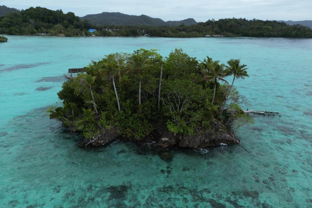 Photo of Others in Yennanas Besir