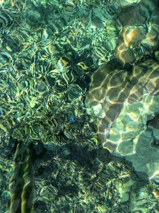 Photo of Others in Raja Ampat
