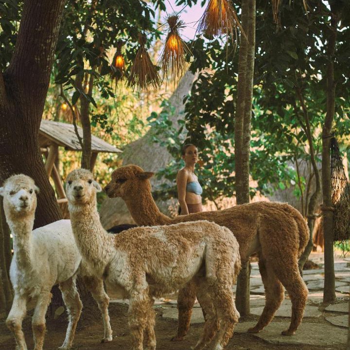 Photo of Others in Beraban