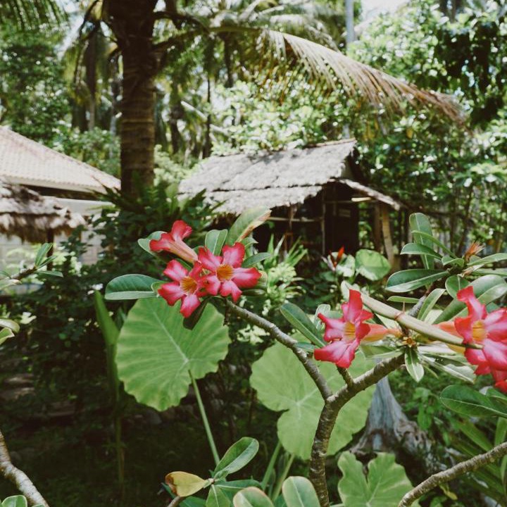 Photo of Others in Tanjung Setia