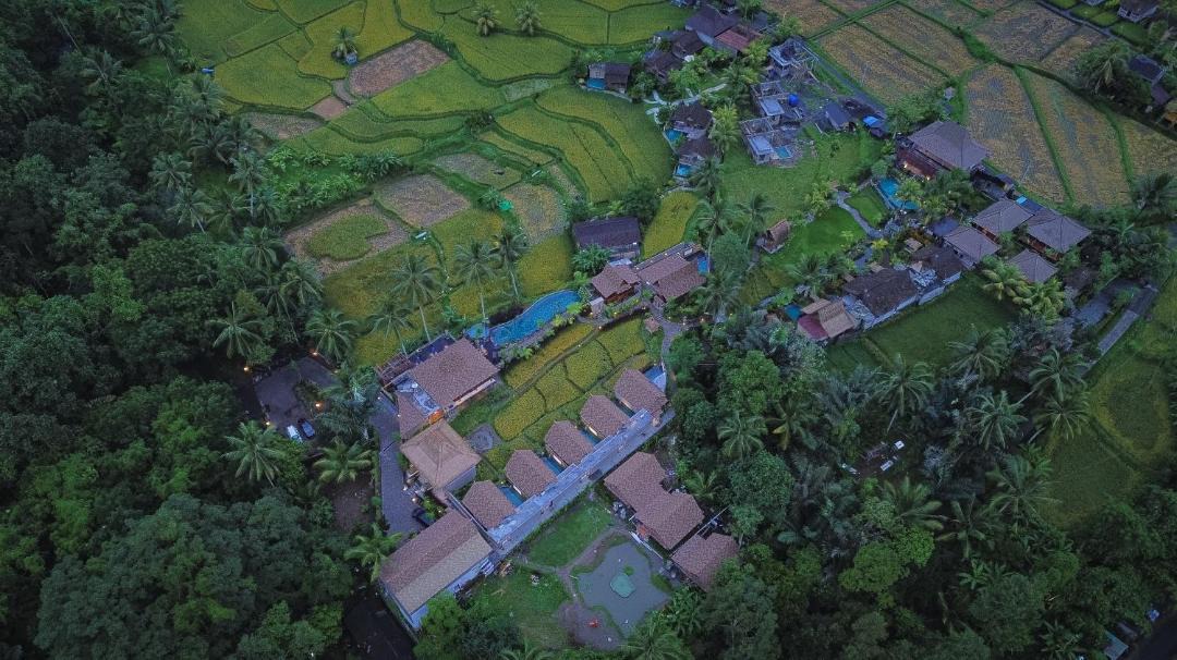 Photo of Others in Sebatu