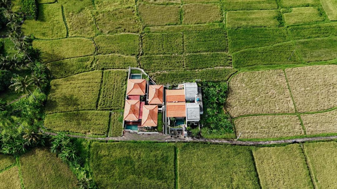 Photo of Others in Peliatan