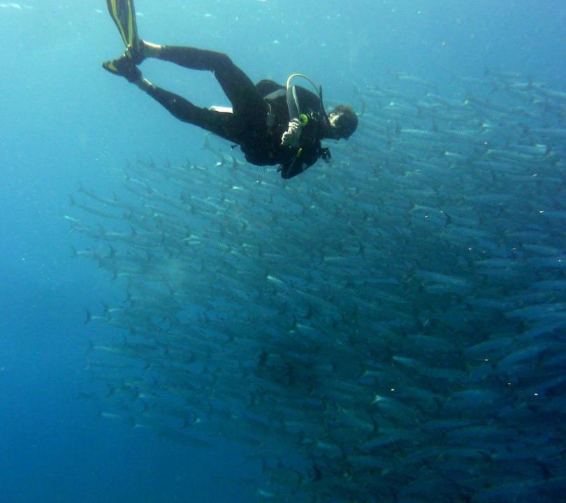 Photo of Others in Pulau Kadidi
