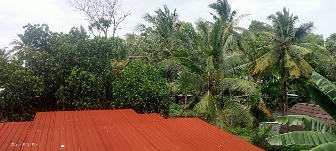 Photo of Others in Kuta
