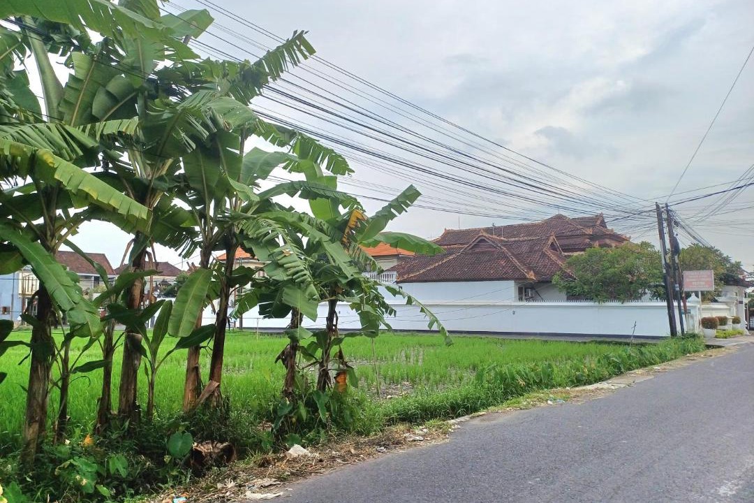 Photo of Others in Batubulan