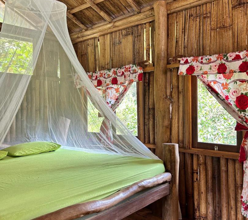 Photo of Others in Bukit Lawang