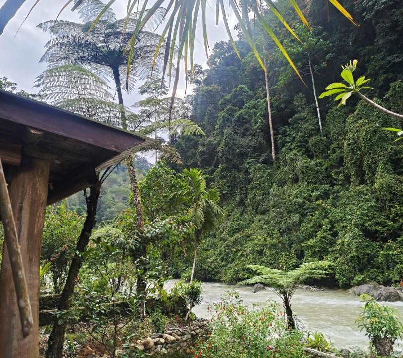 Photo of Others in Bukit Lawang