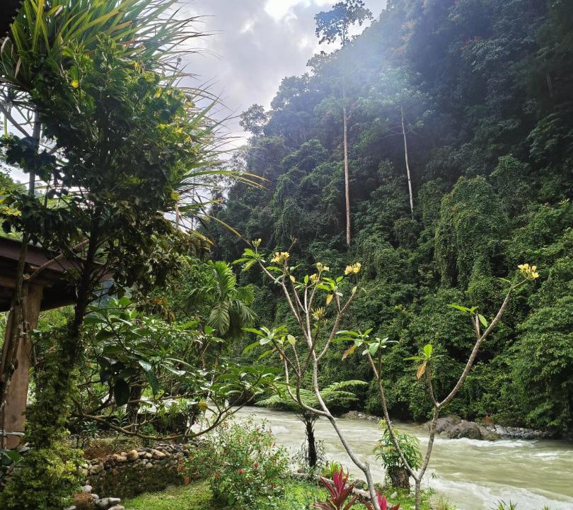 Photo of Others in Bukit Lawang
