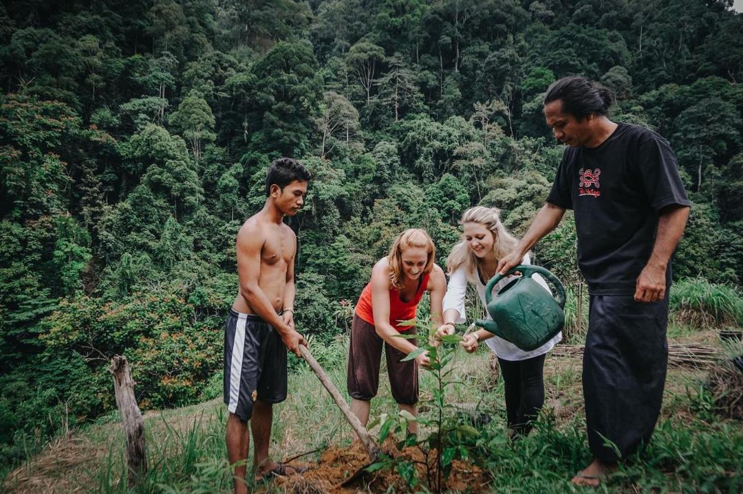 Photo of Others in Bukit Lawang