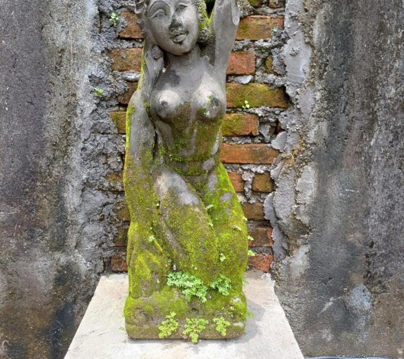 Photo of Others in Batubulan