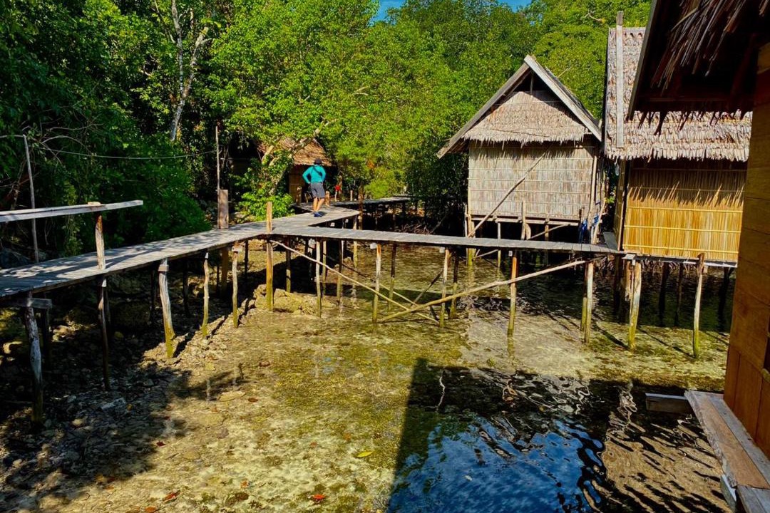 Photo of Others in Pulau Pef