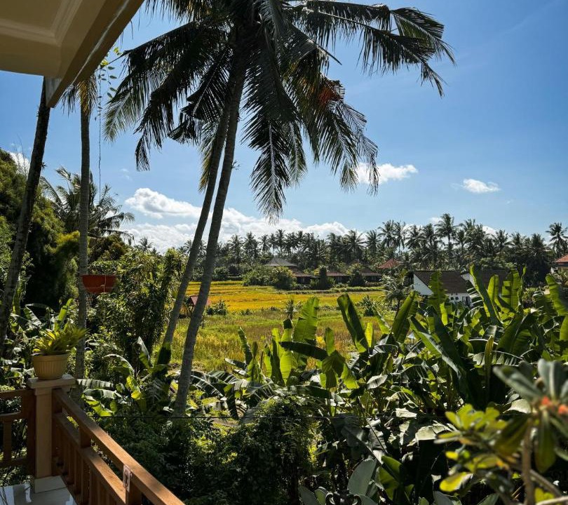 Photo of Others in Ubud City-Centre