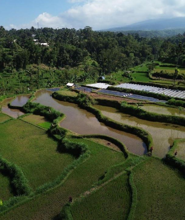 Photo of Others in Tetebatu
