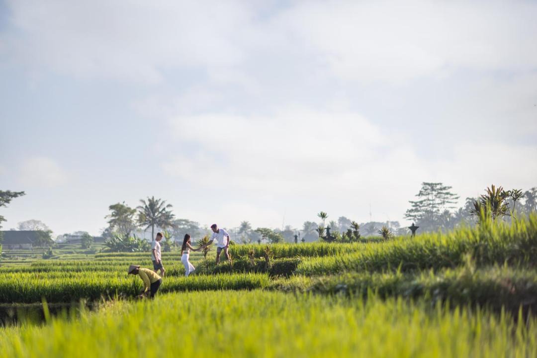 Photo of Others in Kedewatan