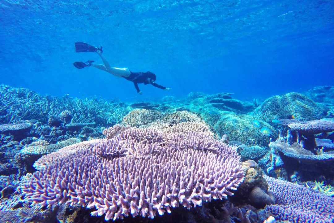 Photo of Others in Batudaka Island