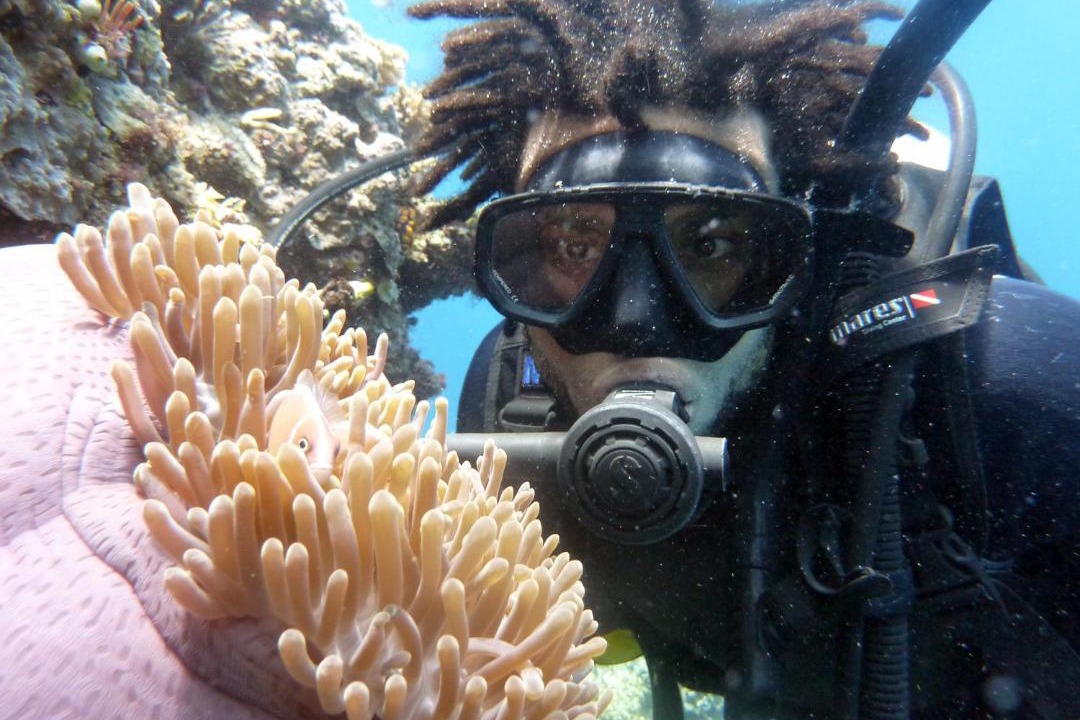 Photo of Others in Pulau Kadidi