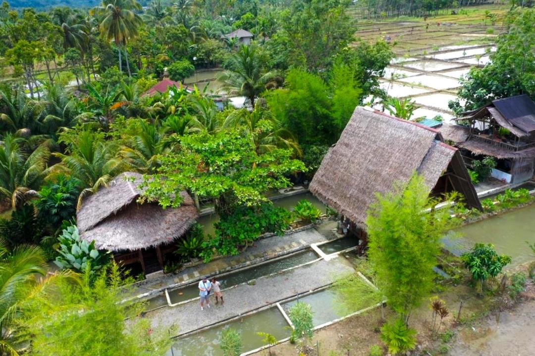 Photo of Others in Bohorok