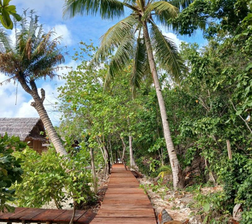 Photo of Others in Raja Ampat