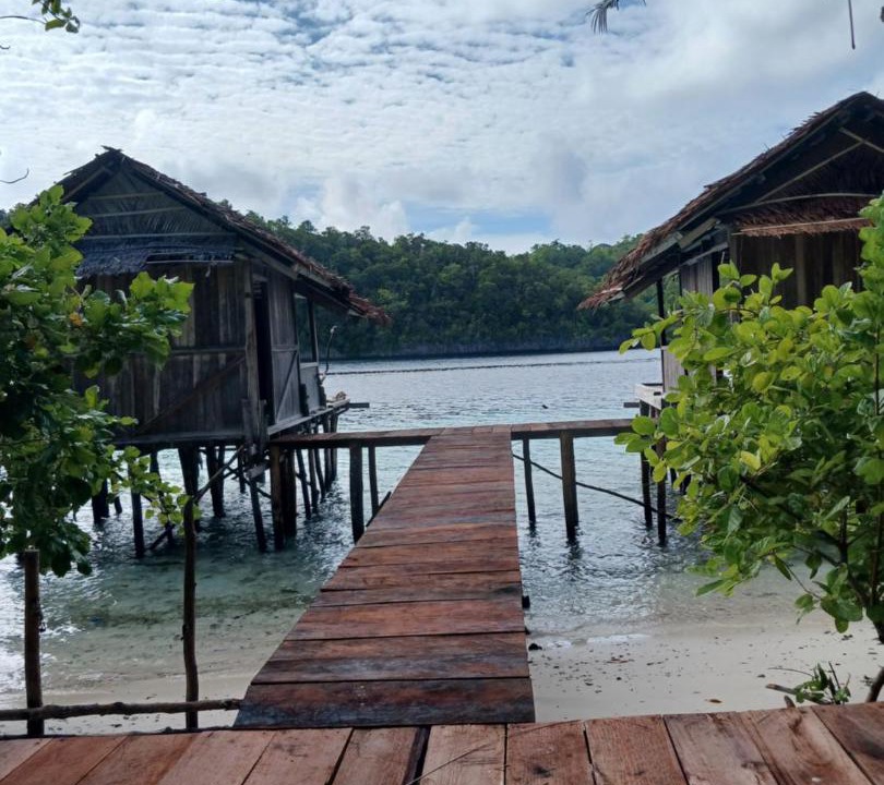 Photo of Others in Raja Ampat