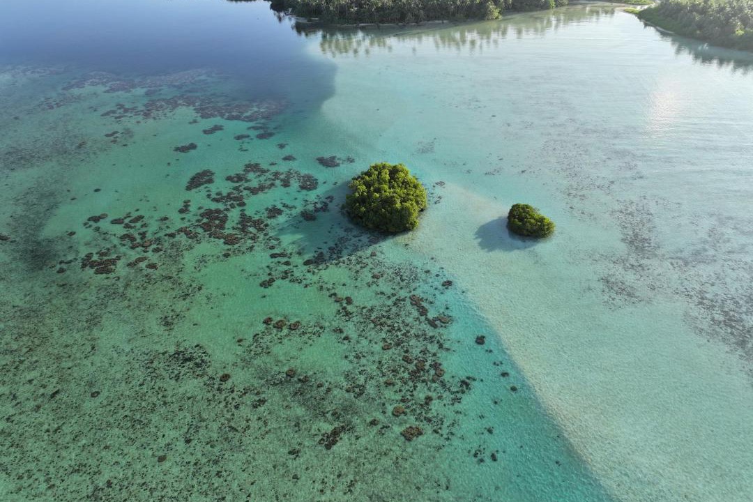 Photo of Others in Kepulauan Banyak
